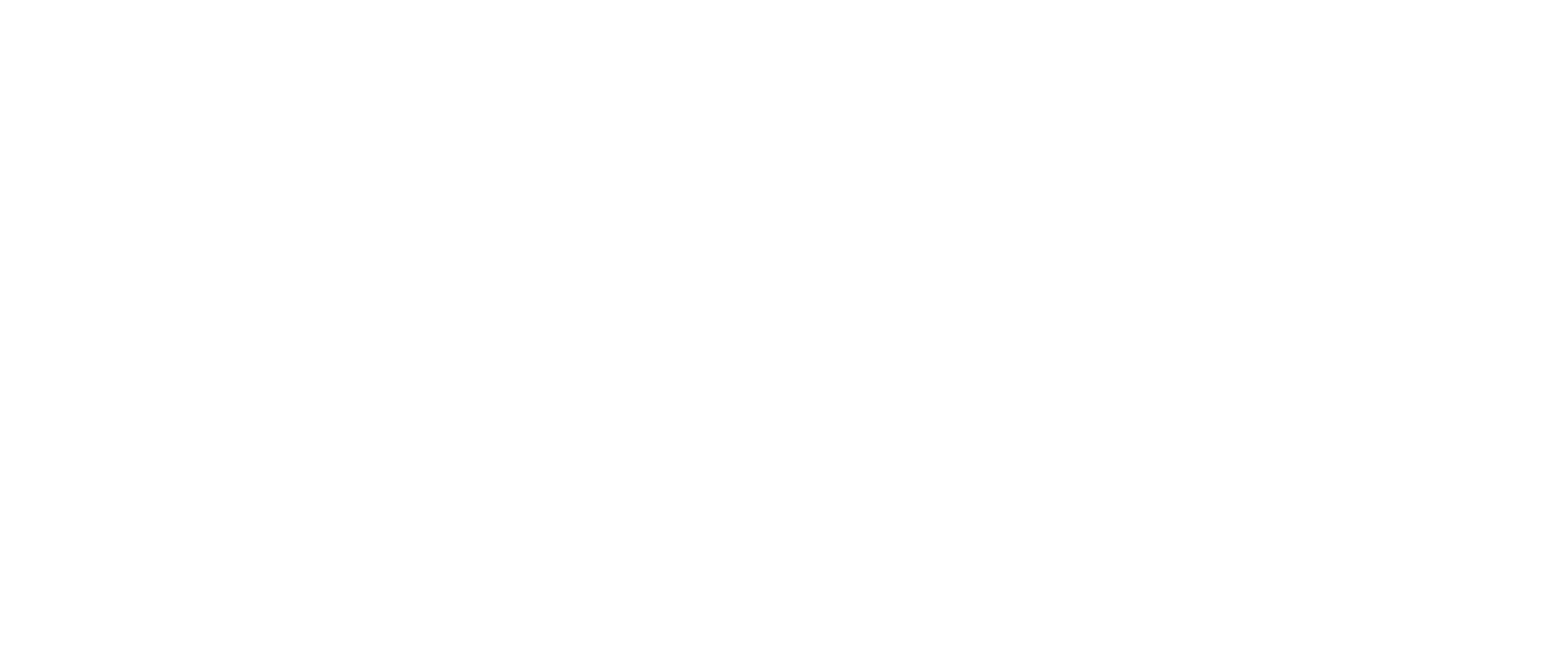 White Horizontal Logo